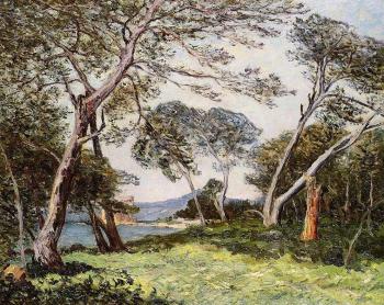 Maxime Maufra : The Pines of the Ile St Morah